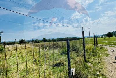 Teren 1,042mp Sarasau / Strada Sarasau - 2