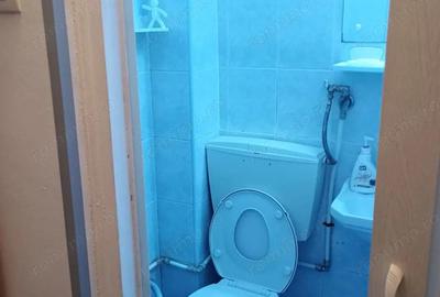 Inchiriere-gars-cf 2-semidecomandata-1 din 10-Dr Taberei-Plaza-mobilat si utilat-250E - 3