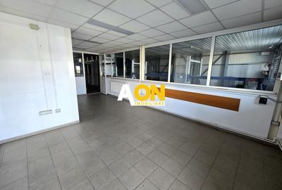 Spațiu Industrial, 700mp Construiți,  Toate Utilitățile, Zona Ampoi 1 - 11