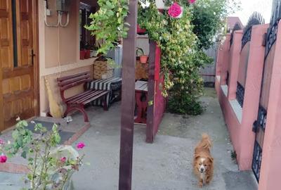 Casă cu 3 camere în Râmnicu Sărat - 6