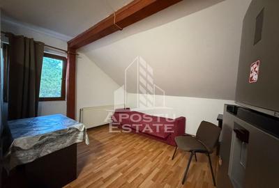 Apartament cu 2 camere semidecomandat, mobilat în Aradului - 7