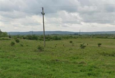 RECO, Teren intravilan, Zona Sacadat, front mare peste 200 ml, la E60 RECO, Teren intravilan, Zona Sacadat, front mare peste 200 ml, la E60 - 2