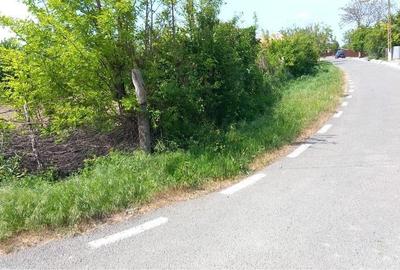 Teren de 1000 mp, în Nămoloasa - 5
