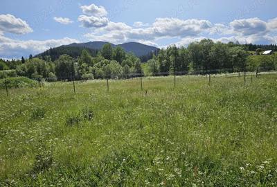 De vanzare Teren intravilan cu casa si anexe in Bucovina Moldova Sulita - 5