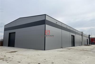 Depozit/hala/spatiu industrial Popesti Leordeni-Oltenitei - 9