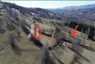 Teren agricol intravilan de 3520 mp, în Moieciu - 6