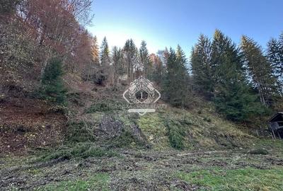 Teren 2.882 mp – oportunitate investitie - Cheile Dâmbovicioarei - 2