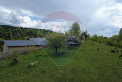 Teren Construcții intravilan de 3821 mp, în Dâmbovicioara - 3