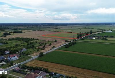 Teren de 30000 mp, în Bolintin-Deal
