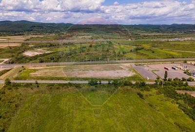 Teren Construcții intravilan de 21536 mp, în Ilia - 5