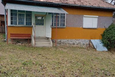 Casa 100 mp la Rapa de Jos, Jud. Mures - 10