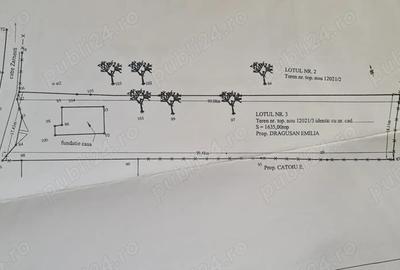 Casa de Vanzare Zarne?ti - 5