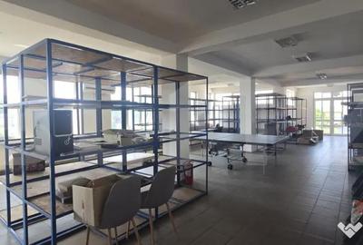 Spațiu comercial, de 750 mp, în Calea Severinului - 10
