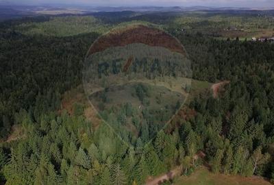 Teren extravilan parcelabil Calatele Padure, zona Dealu Negru - 18