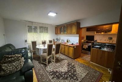 Casă cu 6 camere cu Teren 10000 Mp în Mehala - 10