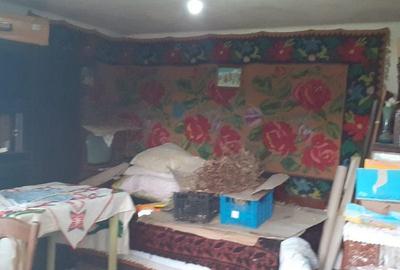 Casa de vanzare Domnesti Arges - 14