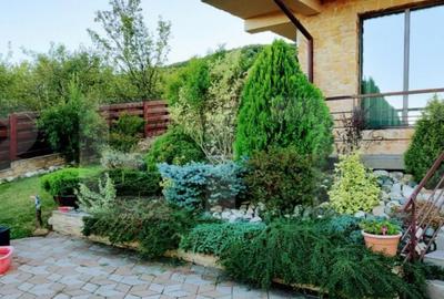 Casă cu 5 camere cu Teren 6700 Mp în Someșeni - 11