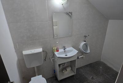 Toporasi, Șoseaua Giurgiului, spațiu comercial - 17