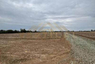 Teren de 500 mp, în Vidra - 2