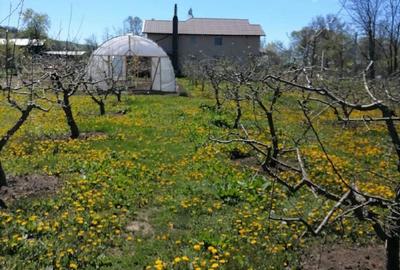 Teren de 1500 mp, în Băiculești - 6