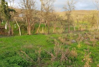 Spațiu comercial, în Burjuc - 4