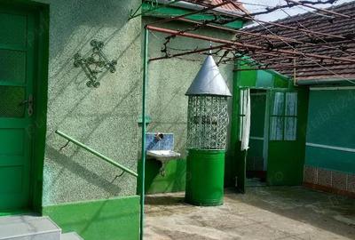 Casă cu Teren 376 Mp în Central - 6