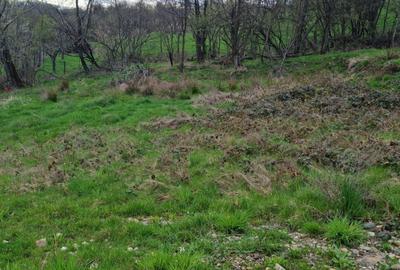 Teren Intravilan | Constructii | 734 mp | Baia Mare | Strada Miron Costin - 9