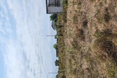 Vanzare casa la rosu Costine?ti - 3