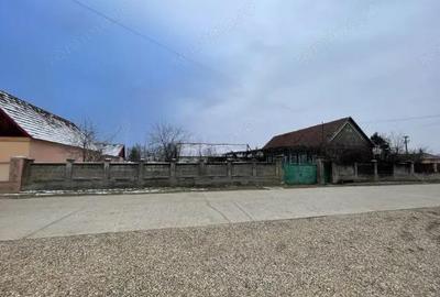 Casă cu 3 camere cu Teren 1500 Mp în Săbolciu - 7