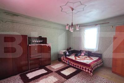 Casa cu teren 32 ari Viile Tecii, la 30 km de Bistri?a - 1