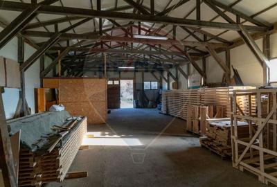 Spațiu industrial, de 650 mp, în Ribița - 6