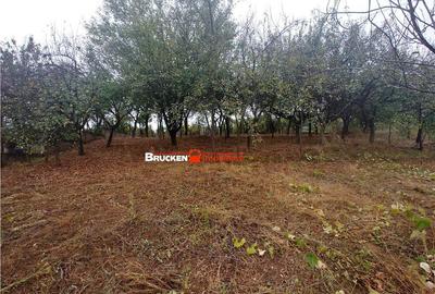 LOC DE CASA CU PANORAMA SUPERBA - 4