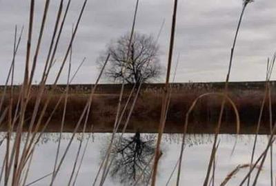 Casă cu 2 camere în Bițina-Pământeni - 4