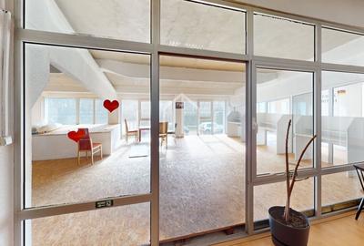 Spațiu industrial, de 1,580 mp, în Terezian - 13