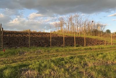 Spațiu comercial, în Valter Mărăcineanu - 2