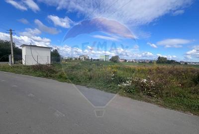 De vanzare - Teren industrial 8.500 mp, Grivitei/Calea Feldioarei - 11