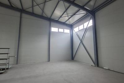 Hala 600mp in Stefanestii de Jos - 5