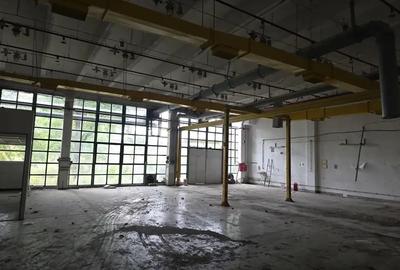 Spațiu comercial, de 11,000 mp, în Central - 1