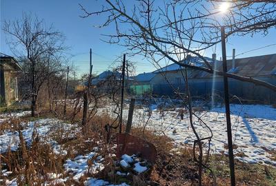 Casă în Fierbinți-Târg - 2