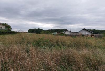 Teren de 4100 mp, în Tâncăbești - 4