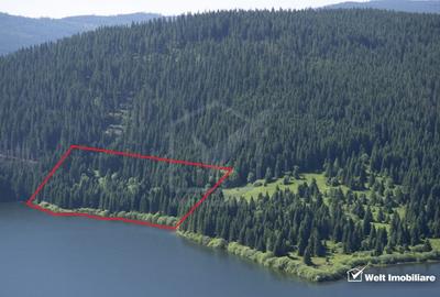 Oportunitate investitie la Belis-Fantanele. Teren cu 146 m deschidere spre lac - 2
