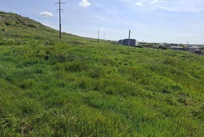 Teren de 700 mp, în Exterior Vest - 3