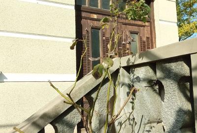 Casă cu 4 camere în Luna - 5