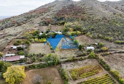 Teren intravilan NICULITEL, zona deosebita, 3044MP - 9