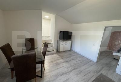 Apartament 2 camere, semidecomandat, curte 50mp Zona Casa Studentilor - 6