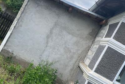 Casă cu 4 camere în Manasia - 6
