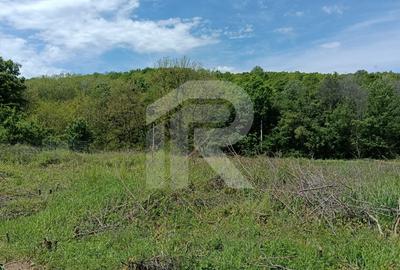 Intravilan Tiparesti, relaxare aproape de padure - 2