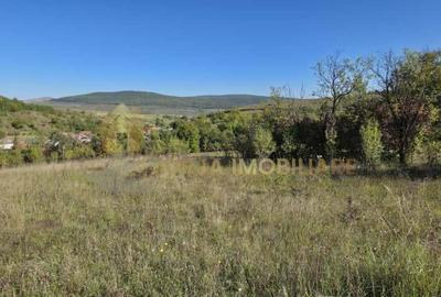 Teren Construcții intravilan de 11000 mp, în Suceagu - 2