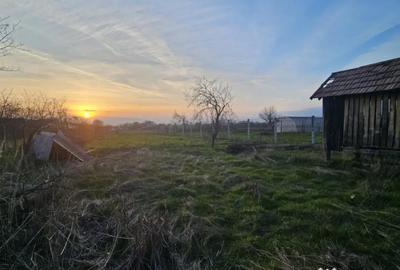 Casă cu 3 camere cu Teren 1090 Mp în Pielești - 11