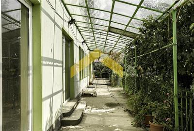 Casa 1000 mp si hala de vanzare Zadareni - 27